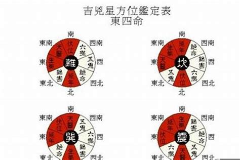 楊柳木命意思|楊柳木命什么意思？男命女命詳解